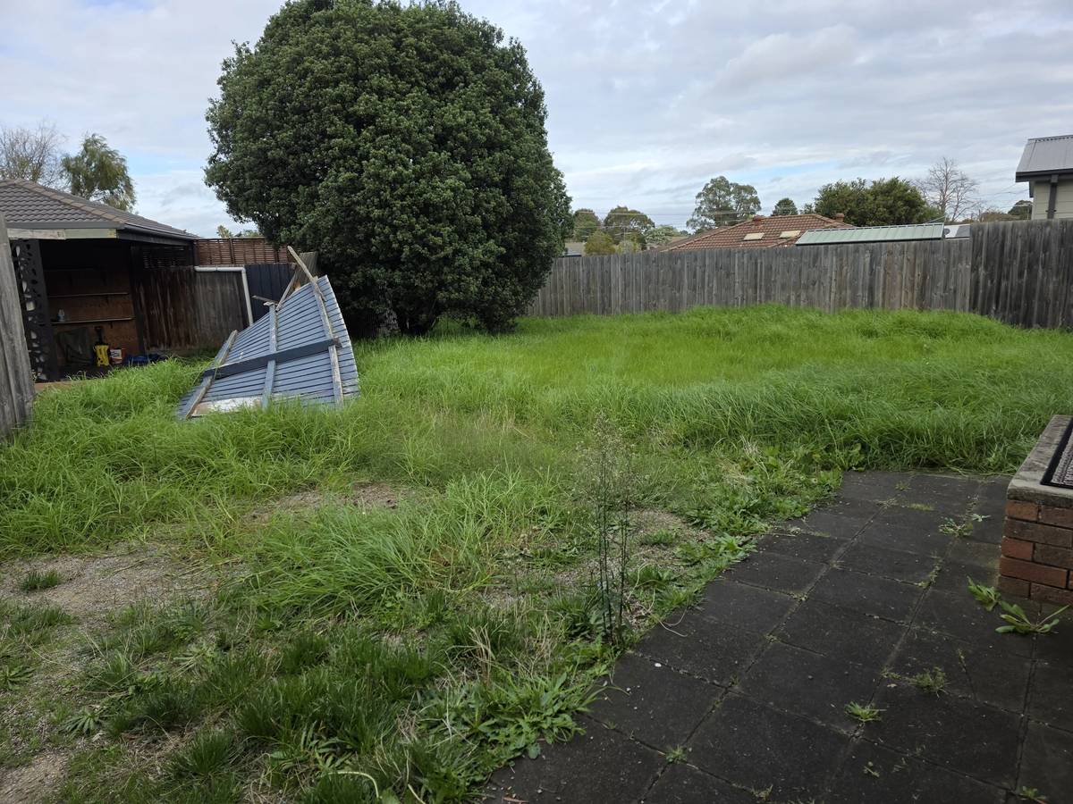 Overgrown Frankston backyard before a clean-up, with knee-high grass and dumped sheeting against the fence