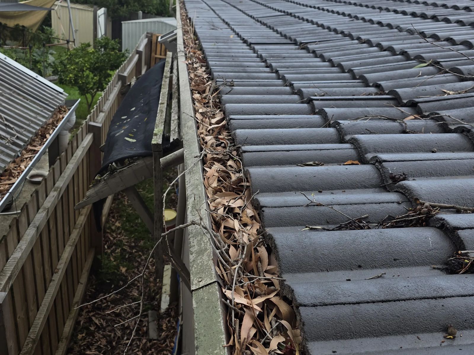 Roof gutter in Frankston packed with gum leaves and bark before a Prestige Property Care gutter clean