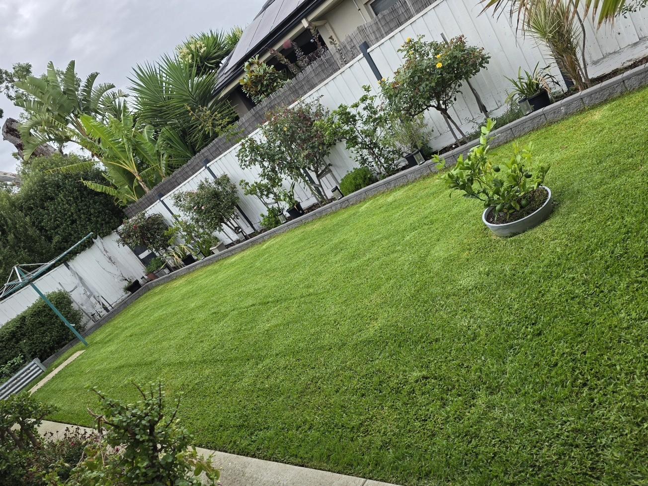 Freshly mown back lawn edged along the concrete path, with planted garden beds behind, on a Mornington Peninsula property