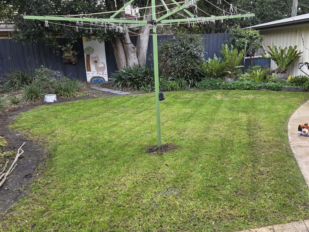 Maintained back garden with a mown lawn, edged beds and the paths blown clean